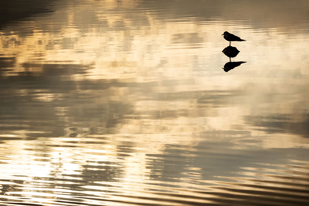 Sag Ja zum Nein sagen