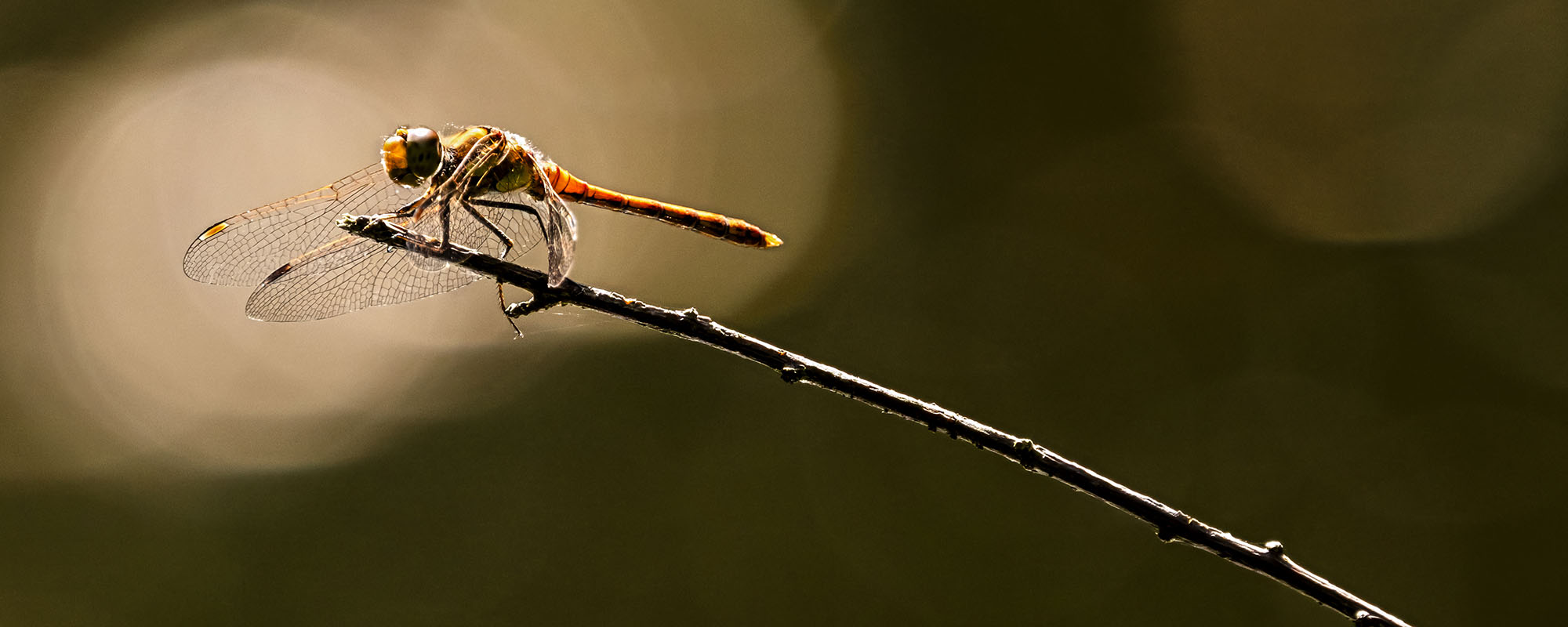 Fragen aus dem leeren Raum