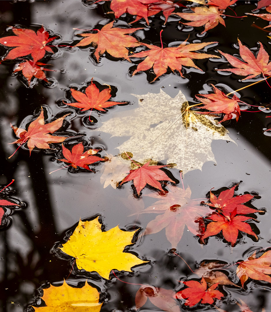 Sag Ja zum Nein sagen